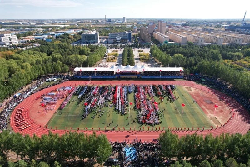 米毛毛虫竞 米毛毛虫竞