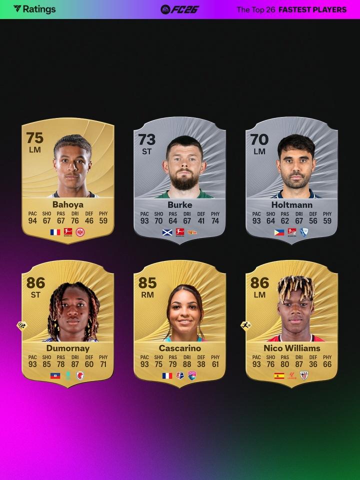 dingy, 加拿大, 金趟球